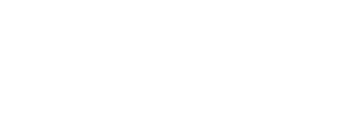 800 Lagnir ehf